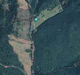 "Tunguska" de la Cheia va fi reîmpădurită parțial, în acest an, de Direcția Silvică Prahova